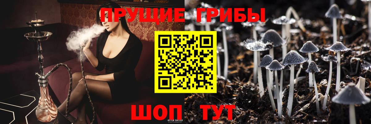 Галлюциногенные грибы Magic Shrooms Ишим