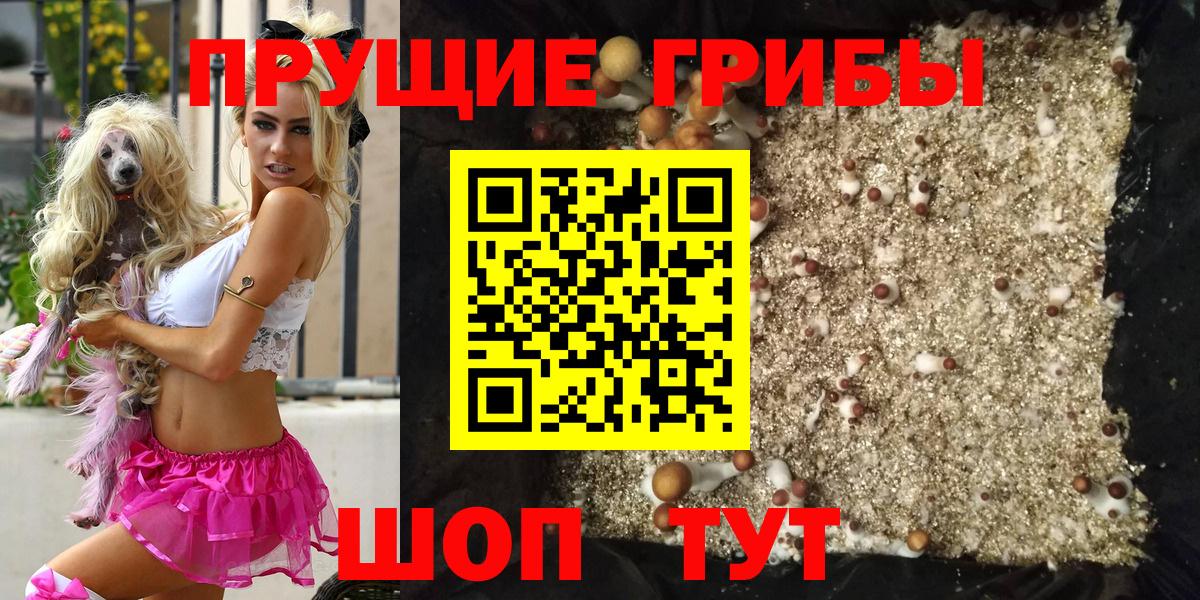 Псилоцибиновые грибы Cubensis  Вход с VPN  Ишим 